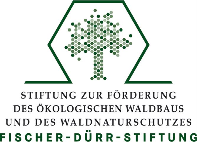 Logo der Fischer-Dürr-Stiftung